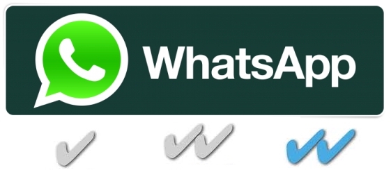 WhatsApp haken Häckchen erklärung Kopie